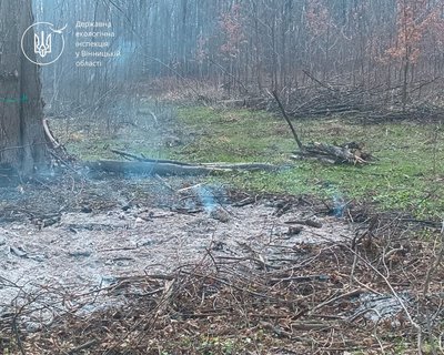 На Вінниччині оштрафували чоловіка за спалювання порубкових решток біля лісу На Вінниччині оштрафували чоловіка за спалювання порубкових решток біля лісу