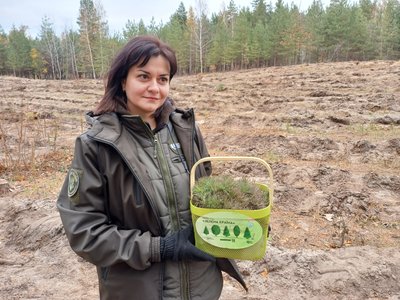 Осіння висадка на Полтавщині: скільки гектарів з’явиться нового лісу Осіння висадка на Полтавщині: скільки гектарів з’явиться нового лісу