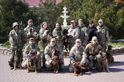 Службові собаки допомогли розкрити понад 500 злочинів минулого року в Одесі та області Службові собаки допомогли розкрити понад 500 злочинів минулого року в Одесі та області