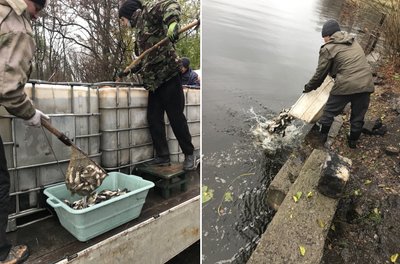 Обстріли Дніпропетровщини, відключення світла, сесія міськради. Головні новини Дніпра та області 20 листопада