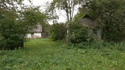 Навколо будинків у селі Лісове не залишилось парканів Навколо будинків у селі Лісове не залишилось парканів