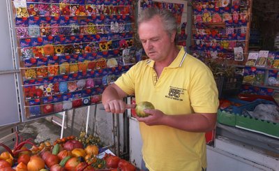 Сорти, насіння, вирощування помідорів Сорти, насіння, вирощування помідорів