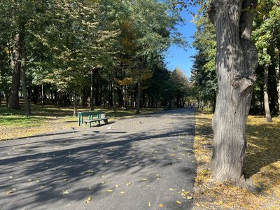 Доріжка у парку імені Шевченка в Чернівцях Доріжка у парку імені Шевченка в Чернівцях