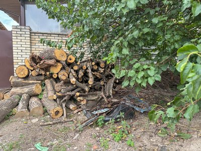 Евакуація примусова евакуація родини діти люди прифронтове село Іллінівка Іллінівська громада Донецька область 10 вересня 2024 рік Евакуація примусова евакуація родини діти люди прифронтове село Іллінівка Іллінівська громада Донецька область 10 вересня 2024 рік
