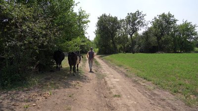 "Уб’ють, так уб’ють — кладовище поруч". Як живуть у Маломихайлівці на Дніпропетровщині, що за 12 км від лінії фронту "Уб’ють, так уб’ють — кладовище поруч". Як живуть у Маломихайлівці на Дніпропетровщині, що за 12 км від лінії фронту