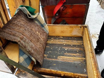 "Головне — врятувати від голоду": як вінницький пасічник допомагає бджолам перезимувати "Головне — врятувати від голоду": як вінницький пасічник допомагає бджолам перезимувати