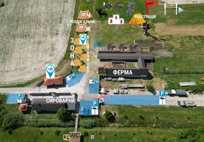 Milk Run 2025, буйволи, забіг Milk Run 2025, буйволи, забіг