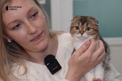 Полікістоз, коронавірус та акне: стан котів, яких вилучили з котокафе Cat Lounge в Одесі Полікістоз, коронавірус та акне: стан котів, яких вилучили з котокафе Cat Lounge в Одесі