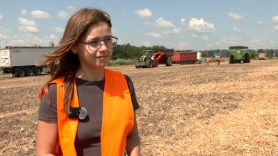 жінки на жнивах жінки на жнивах