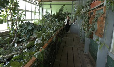 Тетяна Гуцало, Центр еколого-натуралістичної творчості учнівської молоді, реорганізація, 24 червня 2026, Тернопіль