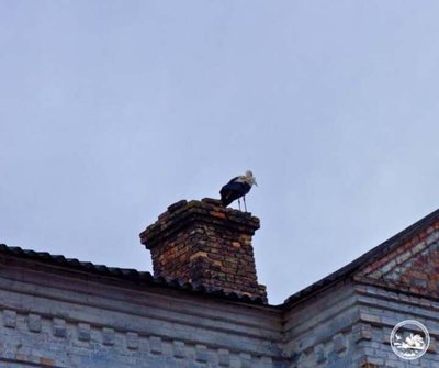 На Київщині На Київщині