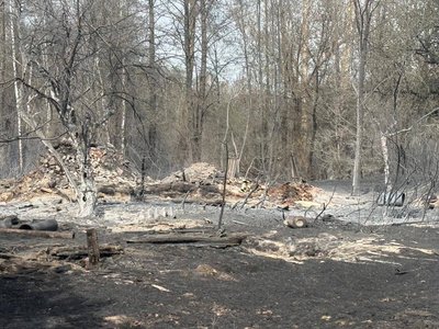 Через сильний вітер пожежа в Чорнобильській зоні поширилась на нові території Через сильний вітер пожежа в Чорнобильській зоні поширилась на нові території