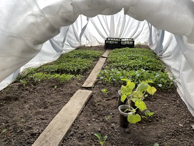 Погода на Полтавщині упродовж 2024 -го року: якою була і до чого призвела Погода на Полтавщині упродовж 2024 -го року: якою була і до чого призвела