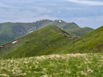 Гори, ведмеді та "Кульбабка": історія житомирського туриста Олександра Пятаєва Гори, ведмеді та "Кульбабка": історія житомирського туриста Олександра Пятаєва