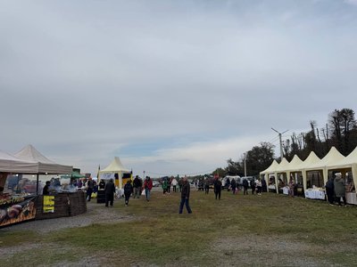 У Вінниці стартував регіональний сільськогосподарський ярмарок "Овочевий ринок" У Вінниці стартував регіональний сільськогосподарський ярмарок "Овочевий ринок"