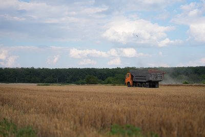Збір врожаю пшениці у Чугуївському районі Харківщини липень 2026 року Збір врожаю пшениці у Чугуївському районі Харківщини липень 2026 року