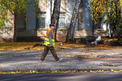 Опале листя та квітучі клумби: який вигляд має Житомир наприкінці жовтня — фоторепортаж