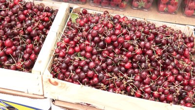 Попит та ціни на черешню в Житомирі: що кажуть продавці та покупці Попит та ціни на черешню в Житомирі: що кажуть продавці та покупці