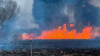 На Черкащині горів сухостій На Черкащині горів сухостій