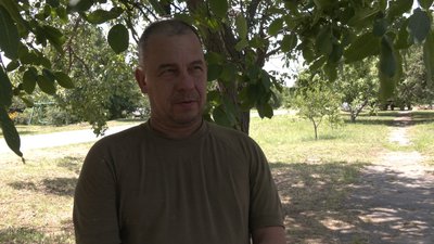 "Це рідкість для нашої області": на Дніпропетровщині активізувалися співочі дубові цикади "Це рідкість для нашої області": на Дніпропетровщині активізувалися співочі дубові цикади