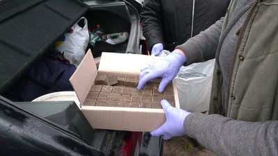 Збільшується кількість скажених тварин: як проводять імунізацію на Рівненщині Збільшується кількість скажених тварин: як проводять імунізацію на Рівненщині