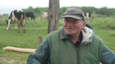 Тримають три корови, два бички і двох телят: господарство подружжя Костюкевичів із села Малеве на Рівненщині Тримають три корови, два бички і двох телят: господарство подружжя Костюкевичів із села Малеве на Рівненщині