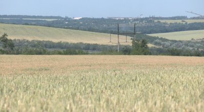 Фермер Василь Погородник сільське господарство справа поля Гродівська громада Донецька область