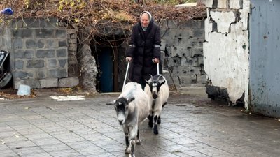 "Може "Пелюстка" там лежала". У деокупованому Святогірську жінка підірвалася на міні, коли пасла кіз "Може "Пелюстка" там лежала". У деокупованому Святогірську жінка підірвалася на міні, коли пасла кіз