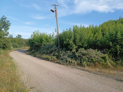 «Якщо не ми, то хто?»: на Вінниччині батько із синами власноруч розчистили узбіччя «Якщо не ми, то хто?»: на Вінниччині батько із синами власноруч розчистили узбіччя