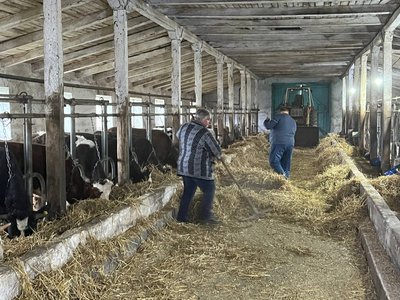 Власники ферми на Вінниччині відкриють сироварню, аби підвищити рентабельність виробництва
