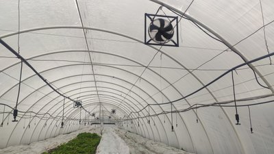 Датчики вітру у теплиці Датчики вітру у теплиці