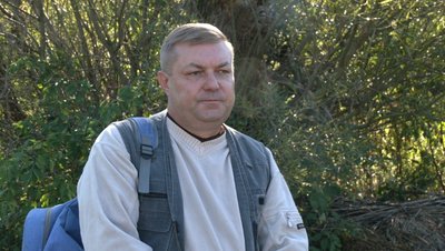 скажені лисиці скажені лисиці