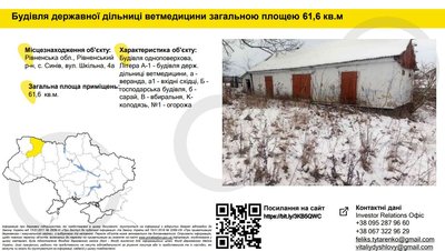 Приватизація Приватизація