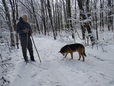 "Господар цього лісу": історія пса, який кілька років мешкає у дендропарку Полтави "Господар цього лісу": історія пса, який кілька років мешкає у дендропарку Полтави