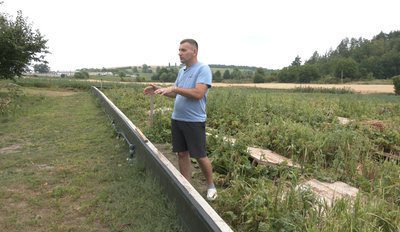 Українська Франція: житель села на Черкащині створив равликову ферму Українська Франція: житель села на Черкащині створив равликову ферму