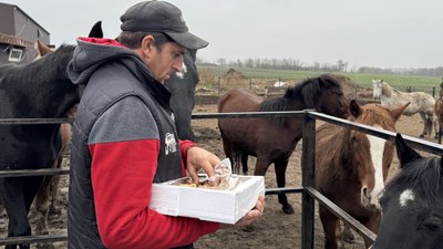 Конюх Василь годує коней у зоопритулку "Пегас" Дніпропетровська область 6 листопада 2025 рік Конюх Василь годує коней у зоопритулку "Пегас" Дніпропетровська область 6 листопада 2025 рік