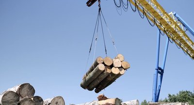 Лісівники Хмельниччини передали військовим найбільше деревини для будівництва фортифікацій Лісівники Хмельниччини передали військовим найбільше деревини для будівництва фортифікацій