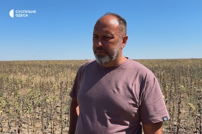 "Все згоріло": чому на Одещині гине соняшник "Все згоріло": чому на Одещині гине соняшник