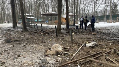 У "Фельдман екопарк" під Харковом загинули тварини внаслідок удару російського дрона вночі 3 березня 2025 року