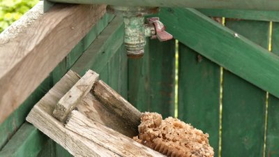 "Бортництво. Глядіння пчіл по-Баївськи": як на Волині бережуть нематеріальну культурну спадщину "Бортництво. Глядіння пчіл по-Баївськи": як на Волині бережуть нематеріальну культурну спадщину