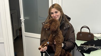 Випадок сказу на Миколаївщині: у Кривому Озері ввели карантин Випадок сказу на Миколаївщині: у Кривому Озері ввели карантин