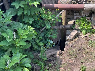 "Боюся, що вони й у дім зайдуть". У Кривому Розі на подвірʼї домогосподарства оселилася лисиця з дитинчатами "Боюся, що вони й у дім зайдуть". У Кривому Розі на подвірʼї домогосподарства оселилася лисиця з дитинчатами