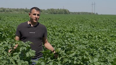 "Чернігівщина – картопляний рай": як її вирощують в регіоні та які є особливості "Чернігівщина – картопляний рай": як її вирощують в регіоні та які є особливості