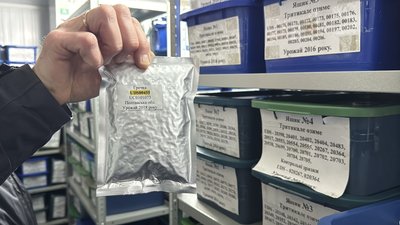 Чи буде на Полтавщині дефіцит гречки? Чи буде на Полтавщині дефіцит гречки?