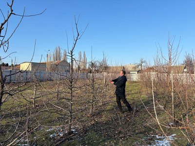 "Це витвір мистецтва": черкаський садівник розповів про весняну обрізку яблунь
