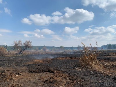 "Дихати немає чим": на Черкащині шосту добу горять торф'яники "Дихати немає чим": на Черкащині шосту добу горять торф'яники