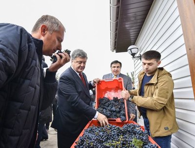 Як на Одещині виготовляють крафтове вино Як на Одещині виготовляють крафтове вино