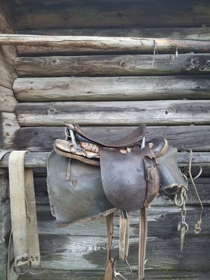 сідло, кінь сідло, кінь