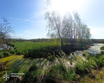 Громаді Львова повертають понад 15 гектарів земель заказника "Торфовище Білогорща" Громаді Львова повертають понад 15 гектарів земель заказника "Торфовище Білогорща"