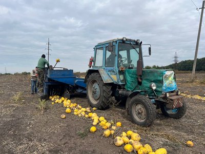 Повертають гроші за техніку: як на Черкащині працює програма компенсації для аграріїв Повертають гроші за техніку: як на Черкащині працює програма компенсації для аграріїв